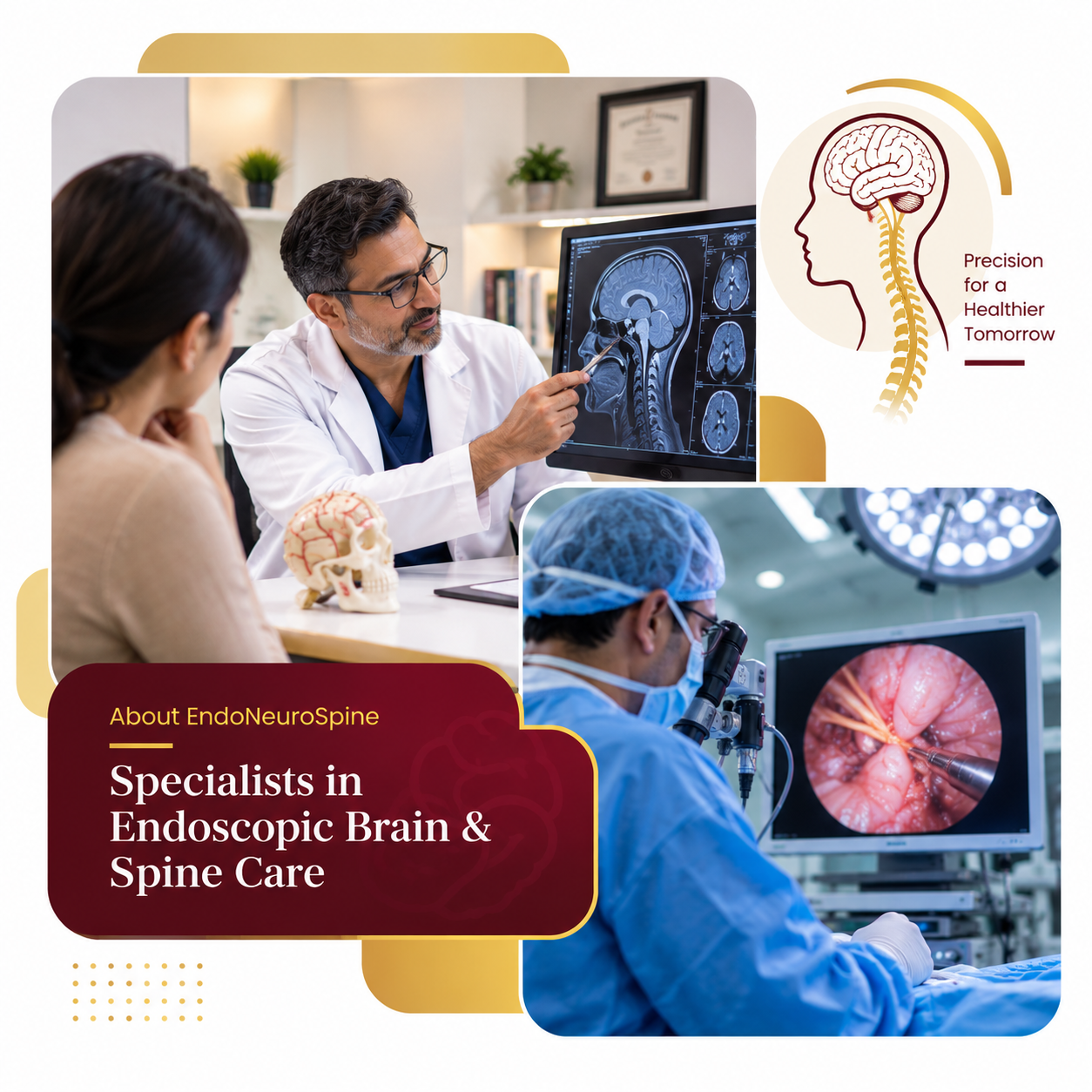 About EndoNeuroSpine